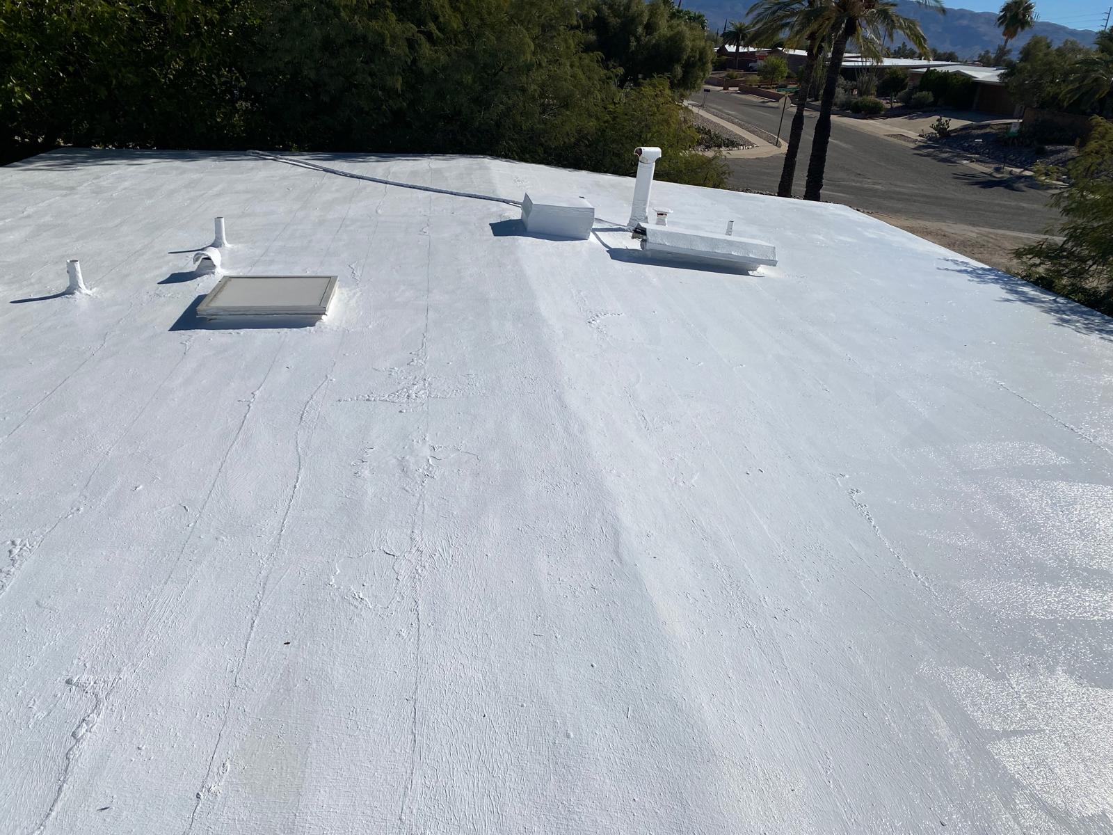 Roof Coating 1
